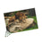 King of The Jungle, 500 piece Puzzle