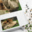 King of The Jungle, 500 piece Puzzle